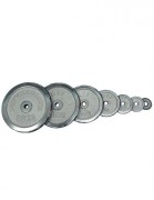 Диск хромированный HouseFit 10 кг DB C102-10 фото